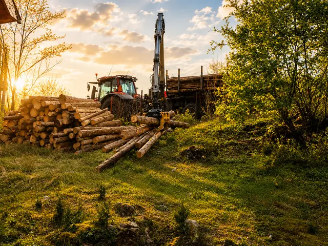 Traktor Zetor s vyvážačkou pri nakladaní dreva